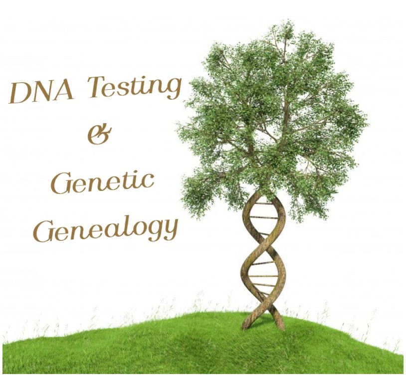 green leafed tree with two brown trunks forming the double helix so that it resembles the DNA structure