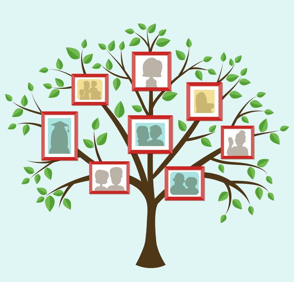 illustration, photo frames of silhouette family figures amongst green leaves in brown branches of a tree